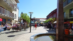 DSC03885.JPG