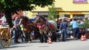 DSC08200.JPG
