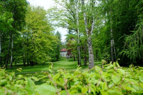 DSC_0099.JPG