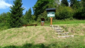 DSC05267.JPG