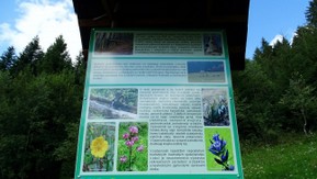 DSC05278.JPG