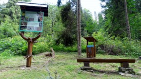 DSC05282.JPG