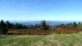 DSC02502.JPG