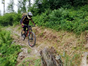 IMG_20190616_144407.jpg