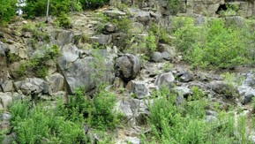 DSC02806.JPG